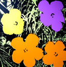 Flowers Portfolio - artetrama