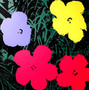 Flowers Portfolio - artetrama